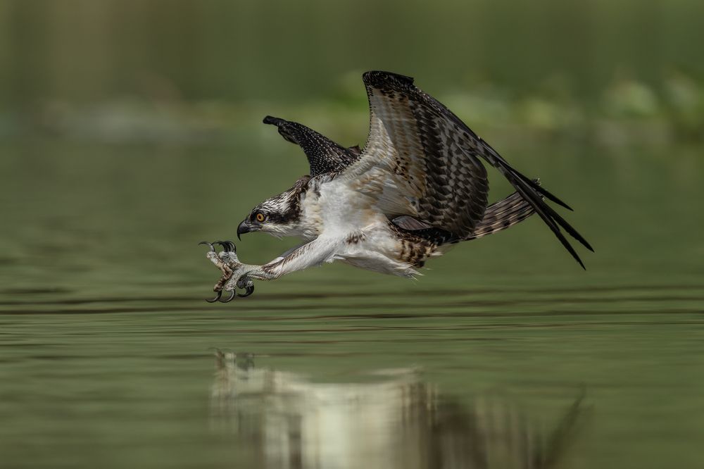 Photograph by Jia Chen