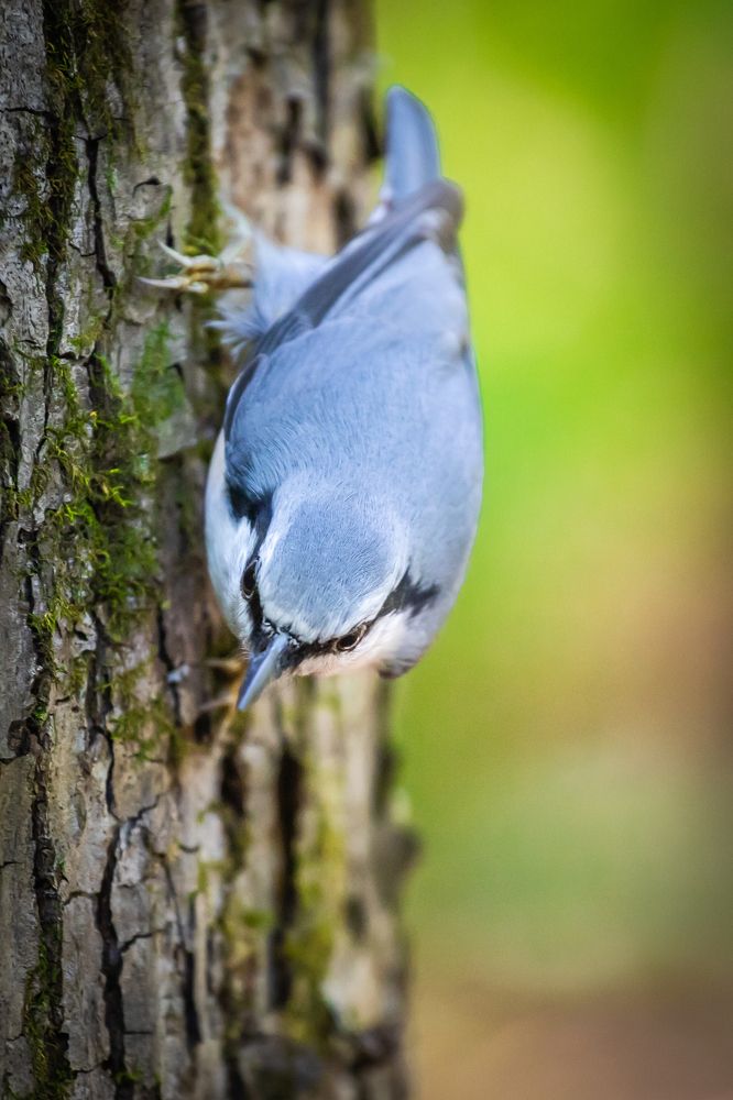 Photograph by Валентин Кольцов