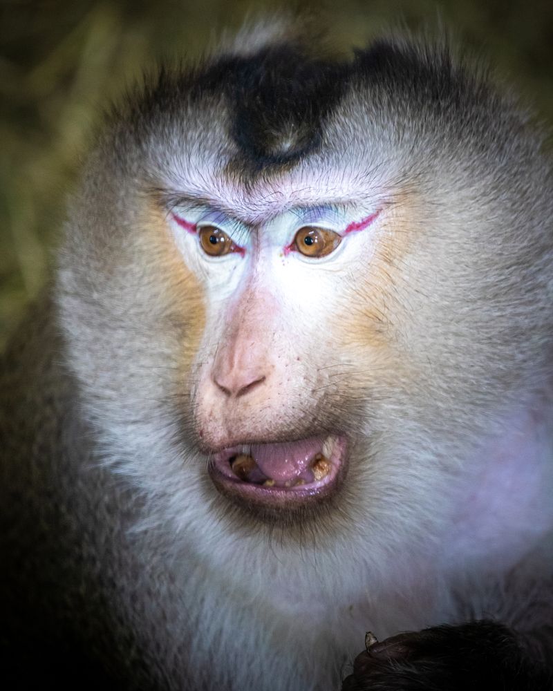 Photograph by Валентин Кольцов