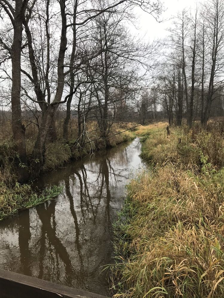 Photograph by Надежда