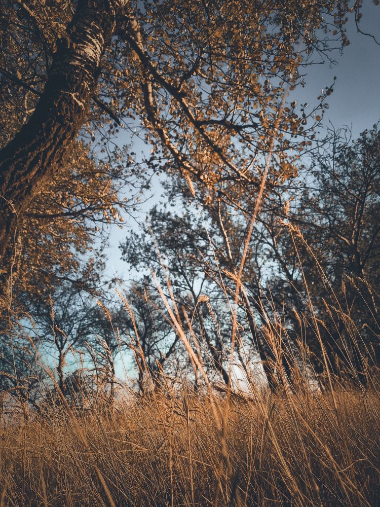 Photograph by Ирина Герлин