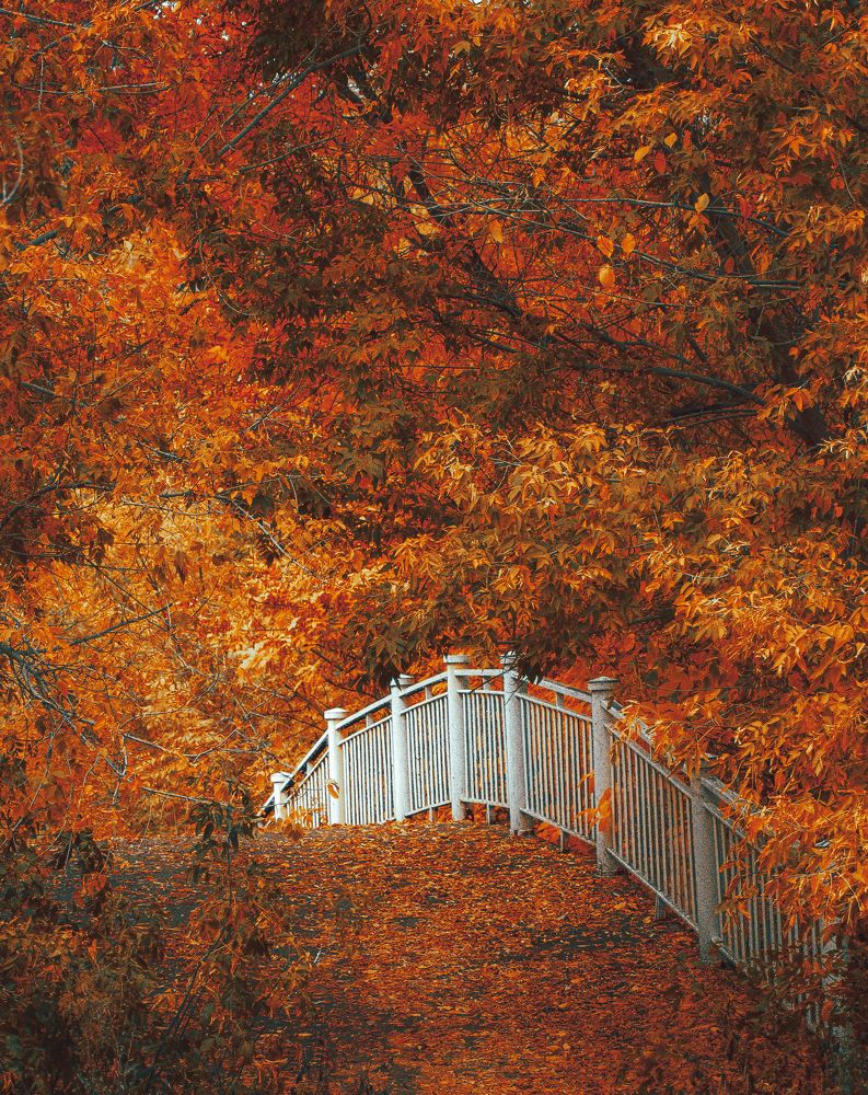 Photograph by Денис Шамров