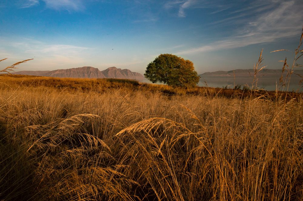 Photograph by ВЛАДИМИР ВОРОБЬЕВ