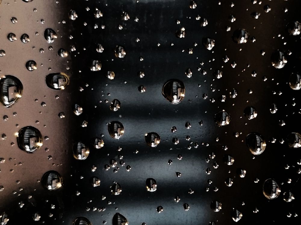 Photograph by Barbara Bonanno BNNRRB