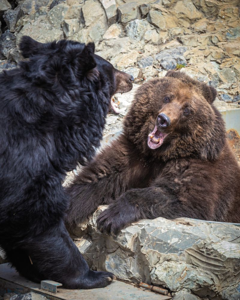 Photograph by Валентин Кольцов