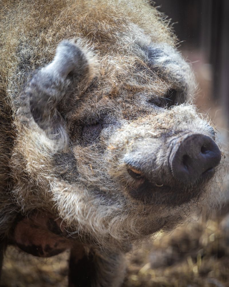 Photograph by Валентин Кольцов