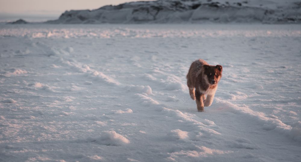 Photograph by Александр Фанталов