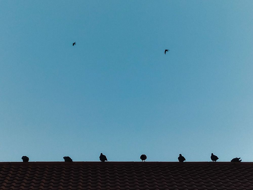 Фотография автора Bernadette Pretorius