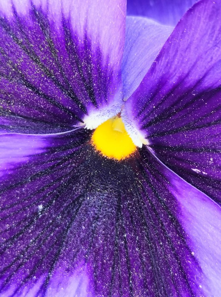 Фотография автора Bernadette Pretorius