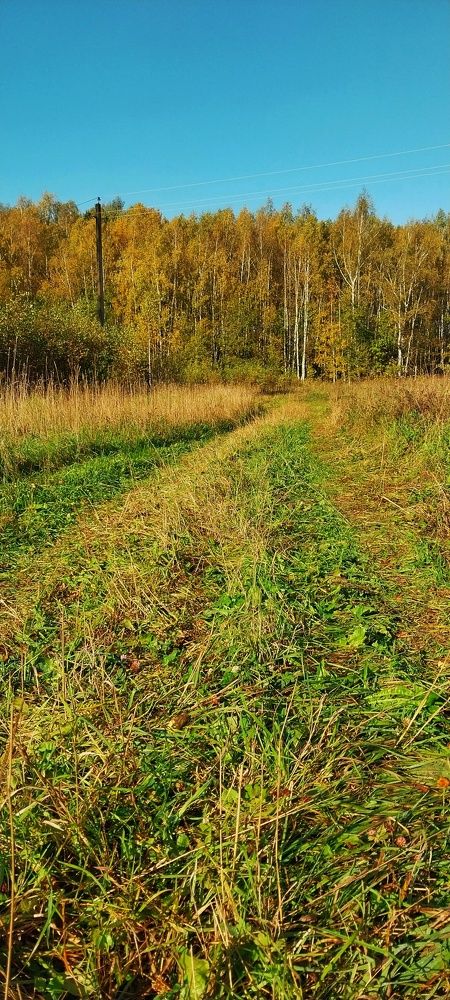 Photograph by Анастасия Липаткина