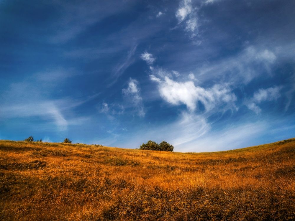 Photograph by Вероника Романенко