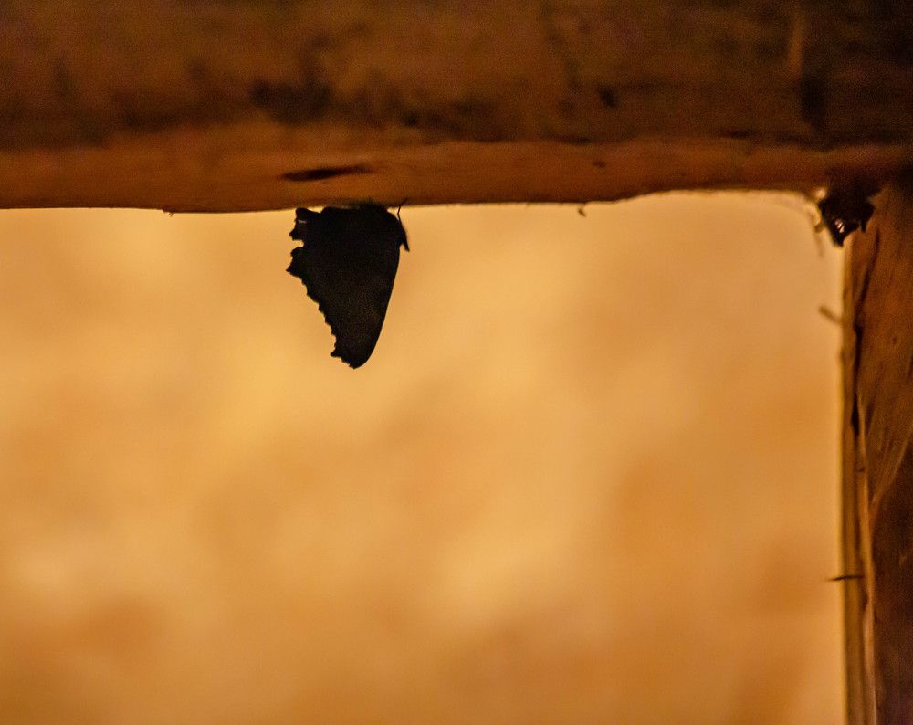 Photograph by Ольга Сафронова