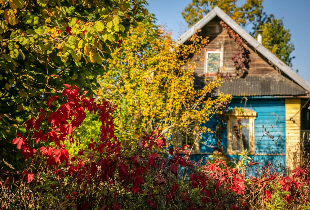 Photograph by Ольга Сафронова