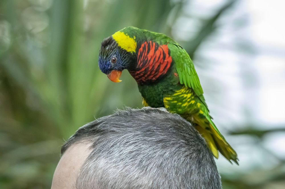 Фотография автора Nikolay Tatarchuk