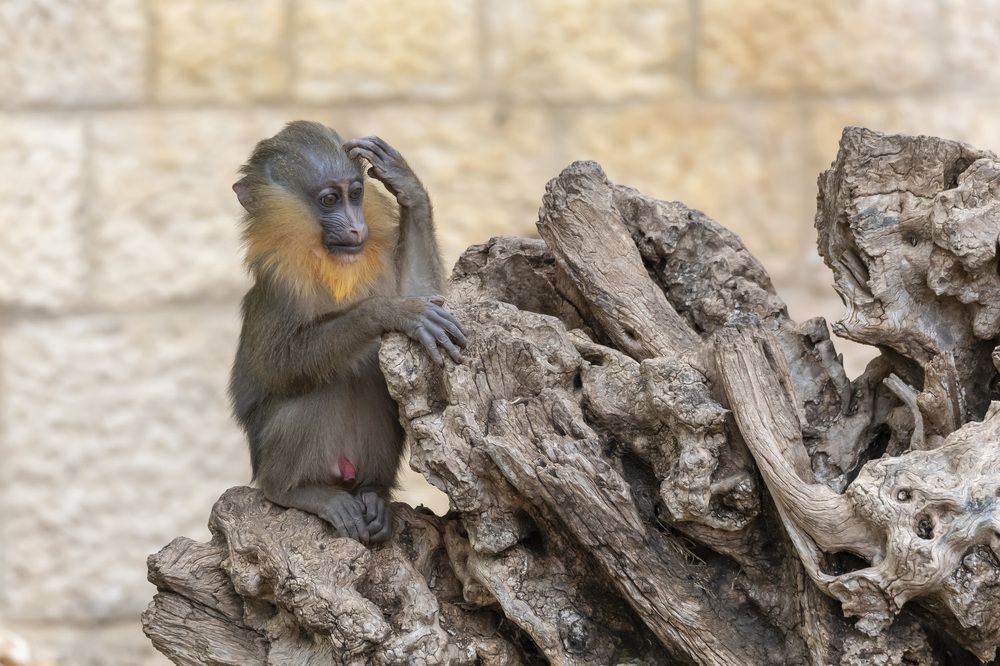 Фотография автора Nikolay Tatarchuk