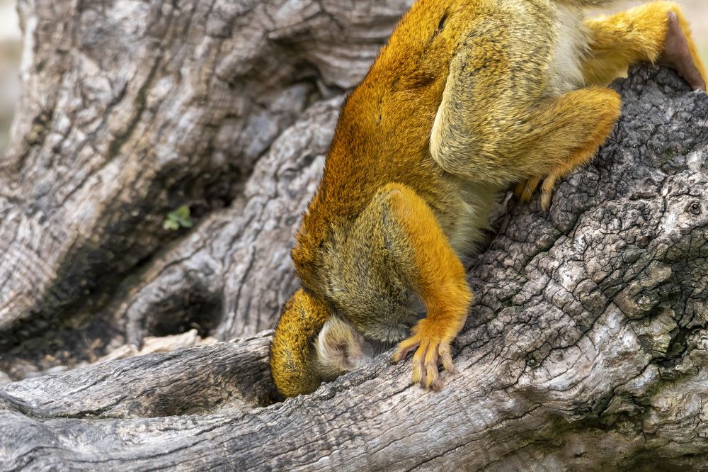 Фотография автора Nikolay Tatarchuk