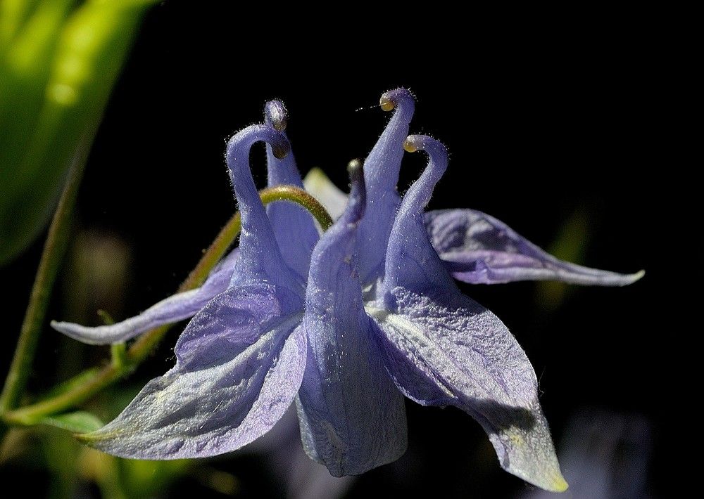 Photograph by Галина Патрушева