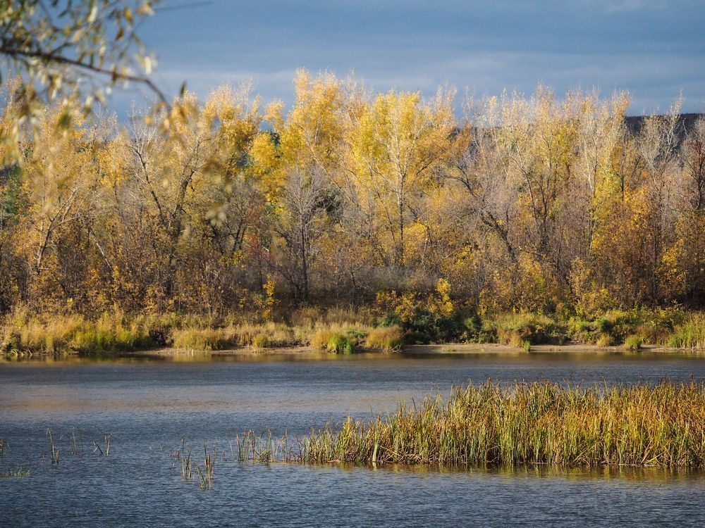 Photograph by Светлана Шибаршина