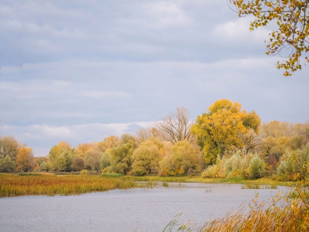 Photograph by Светлана Шибаршина