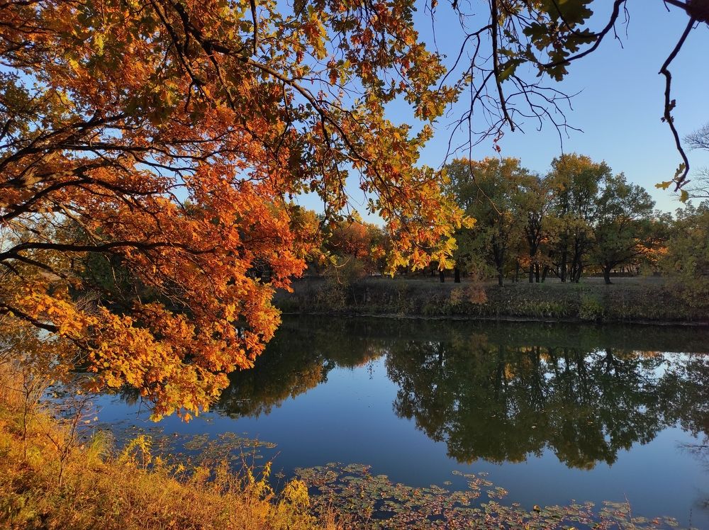 Photograph by Светлана Шибаршина