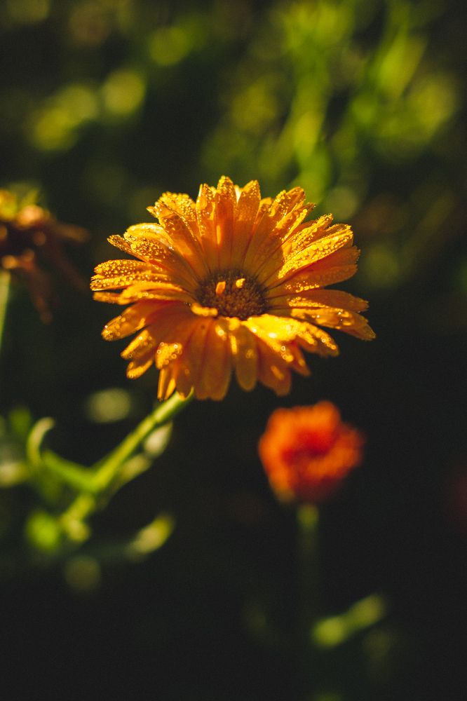 Photograph by Евгений Авдеев