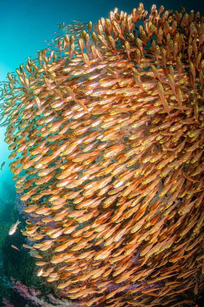 Photograph by HITOMI TSUCHIYA