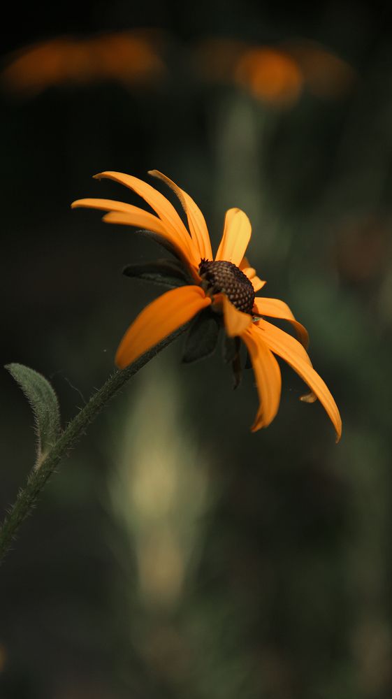 Photograph by Алексей Морозов