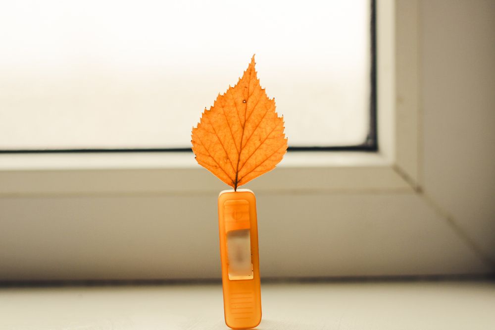 Photograph by Ekaterina Khuzhaeva