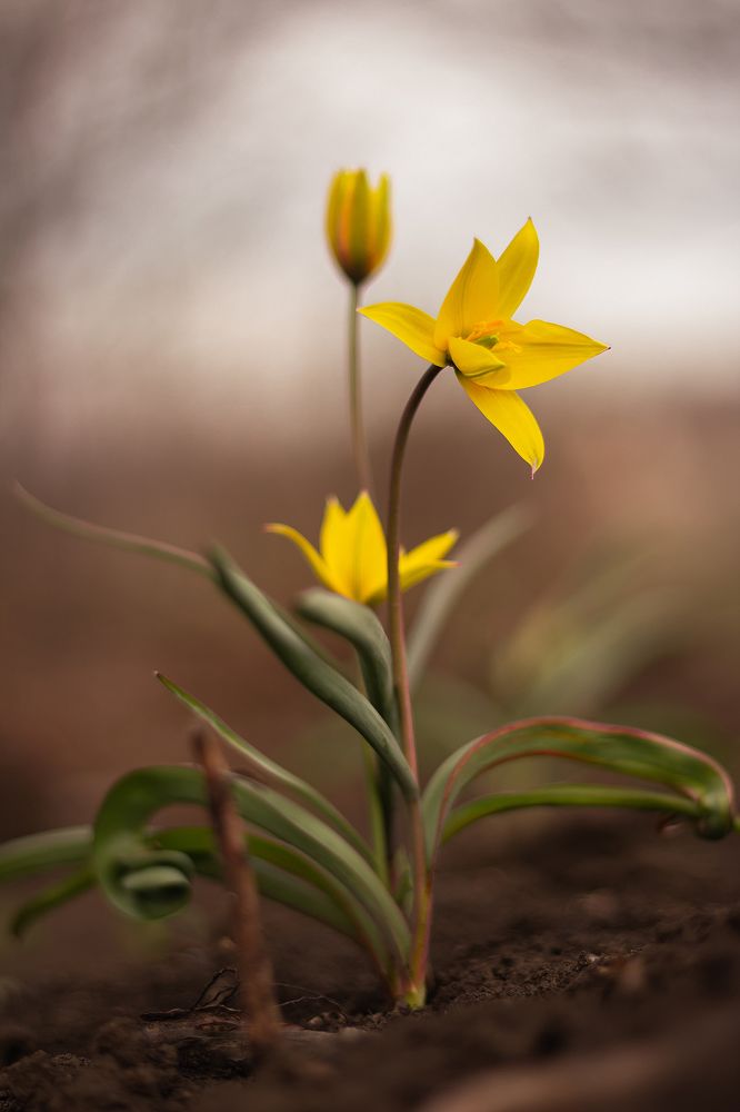 Photograph by Алексей Морозов