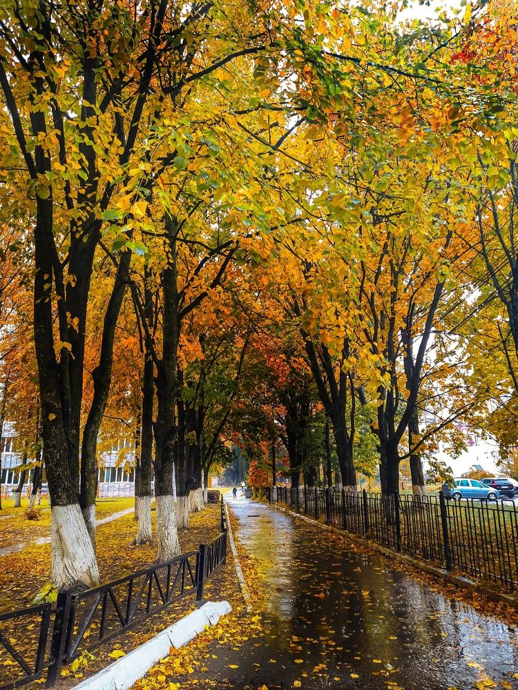 Фотография автора Irina Vornacheva