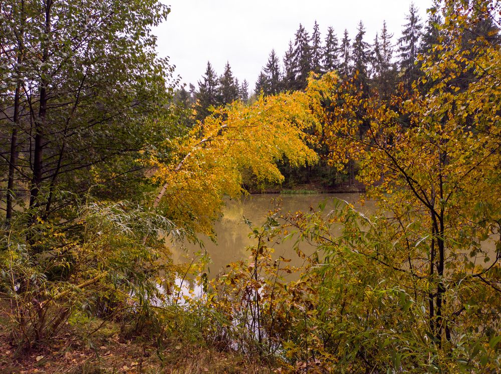 Photograph by Дзен Сергей