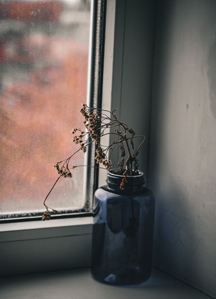 Photograph by Ekaterina Khuzhaeva