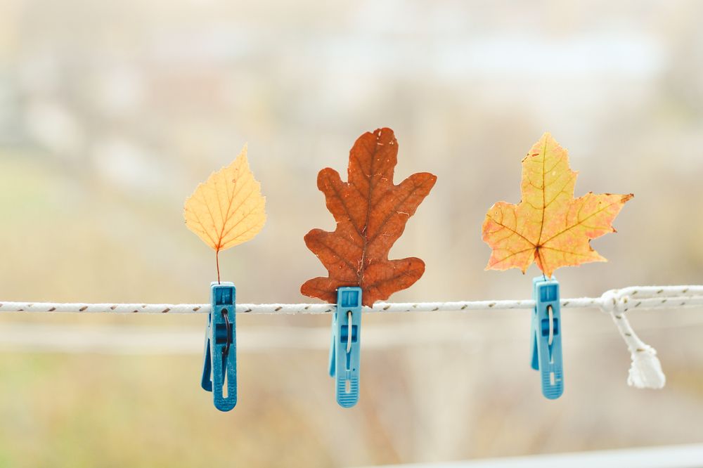 Photograph by Ekaterina Khuzhaeva