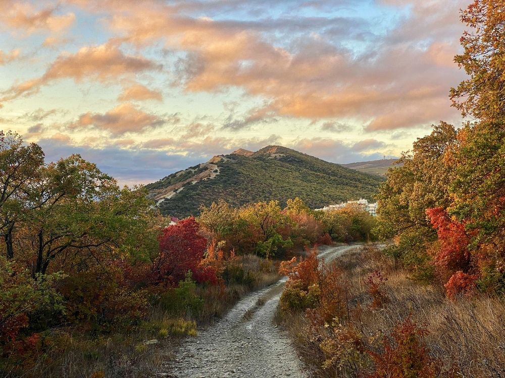 Фотография автора Екатерина Круглик
