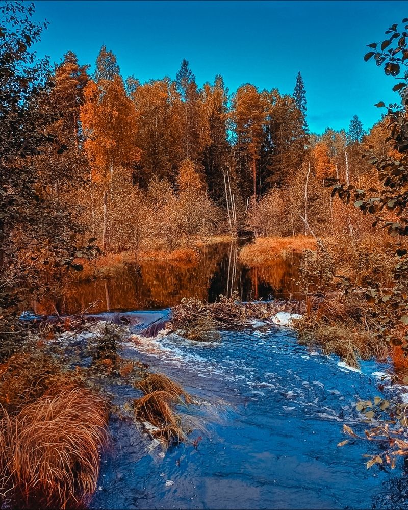 Photograph by Люда Яковлева