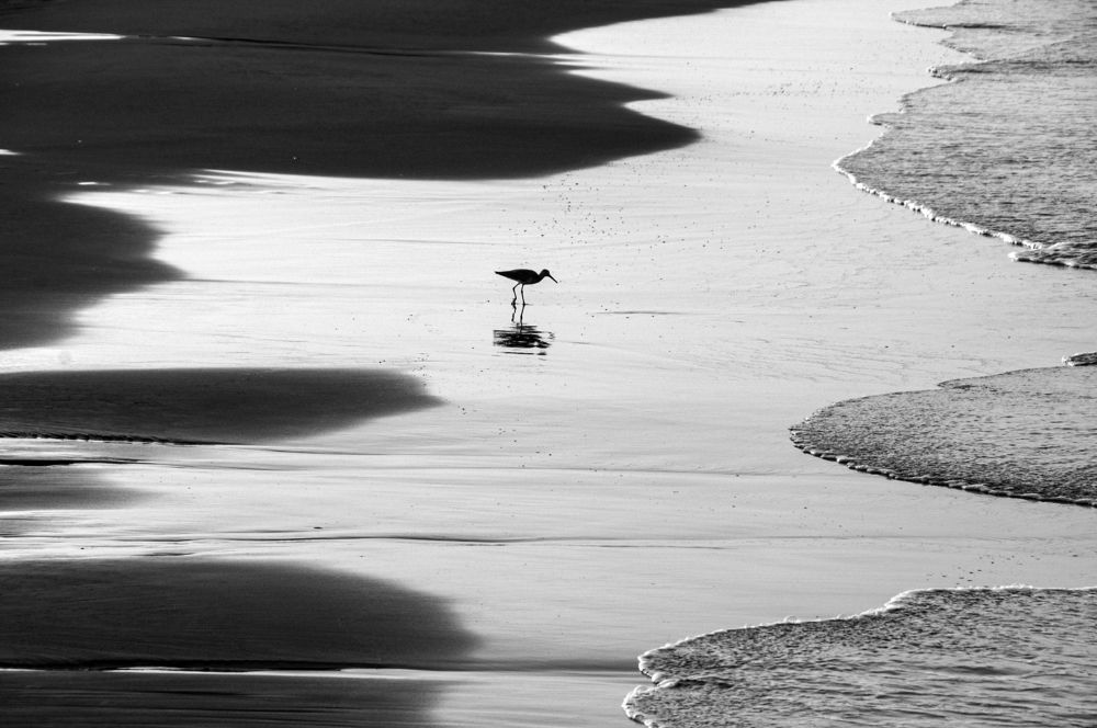 Photograph by gustavo gatto