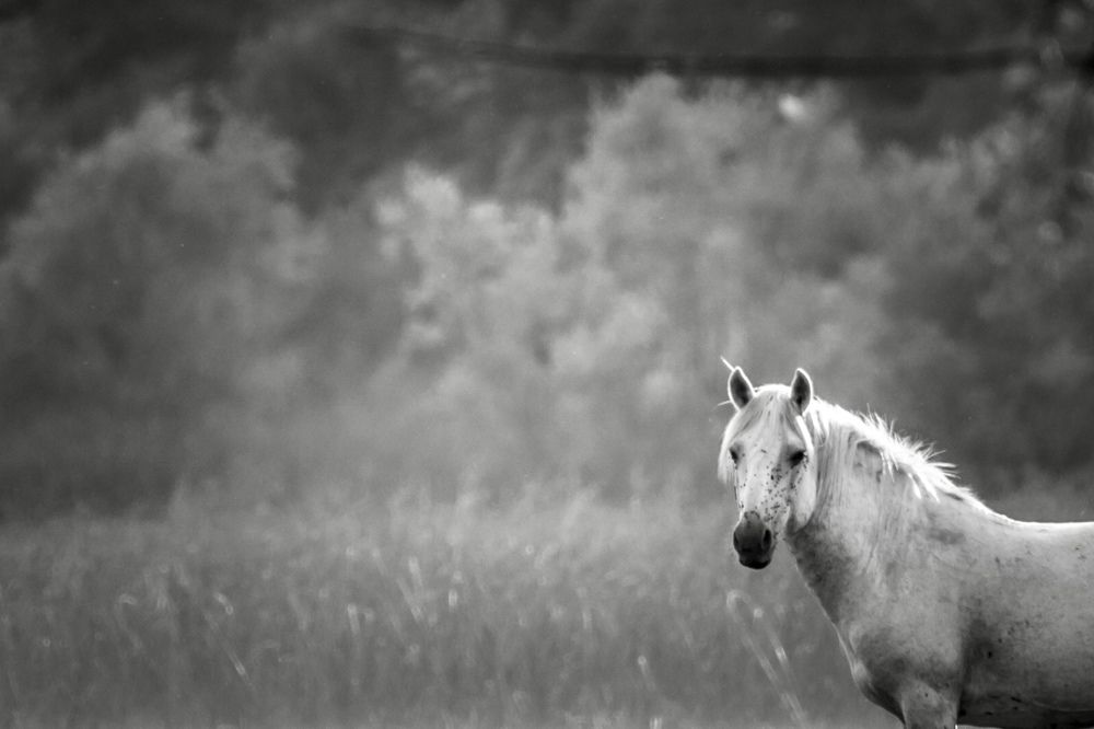 Photograph by Meliha Suskavcevic