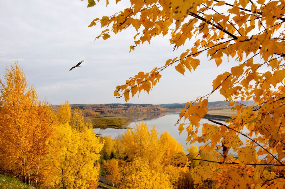 Photograph by Frolova Tatyana