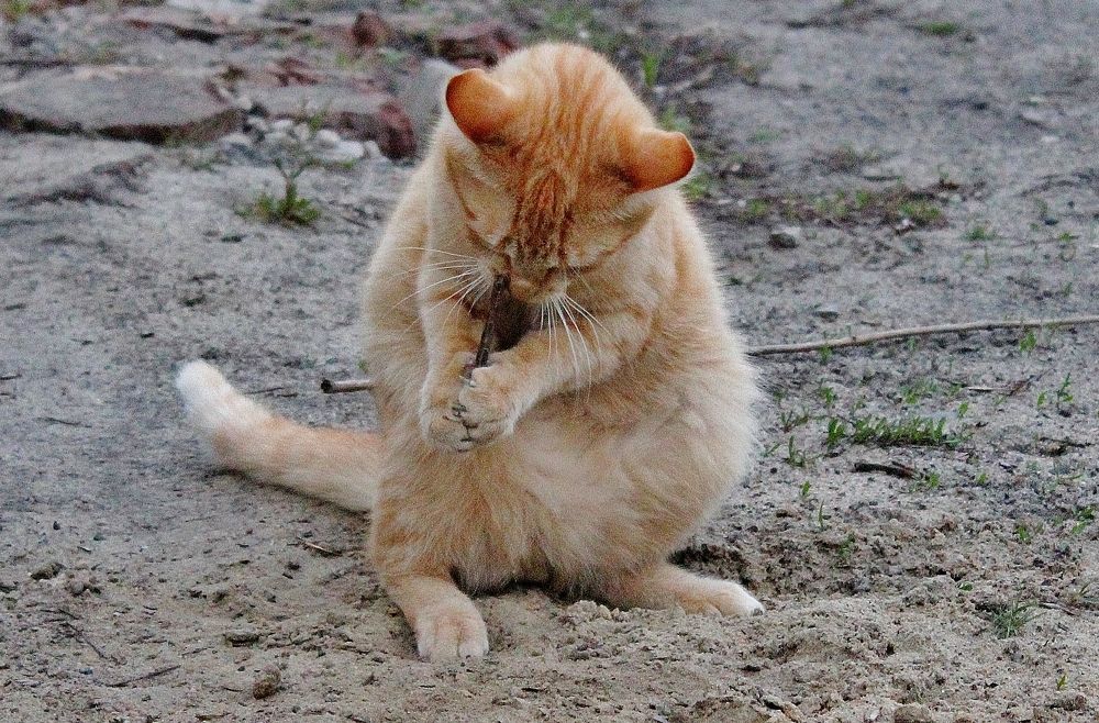 Photograph by Анна Восковых