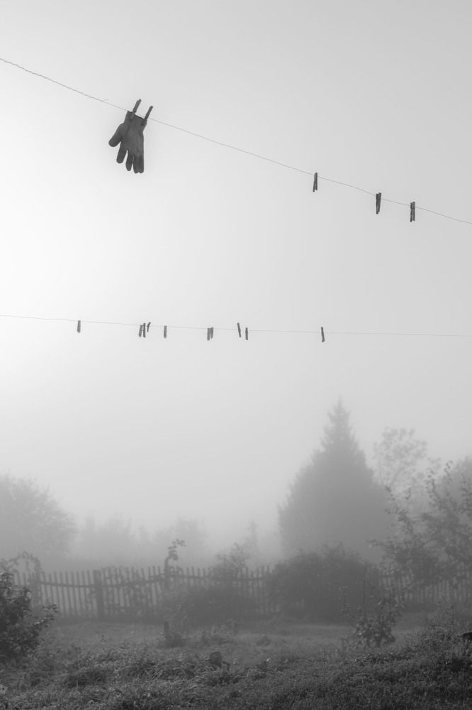 Photograph by Ксения Манухина