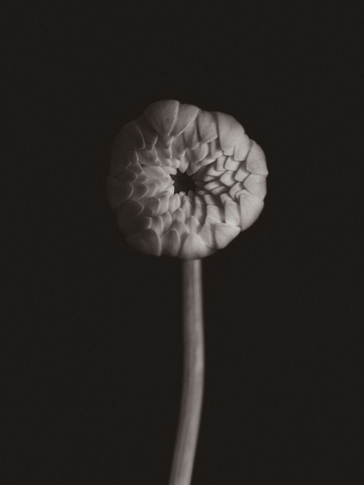 Photograph by Ксения Манухина