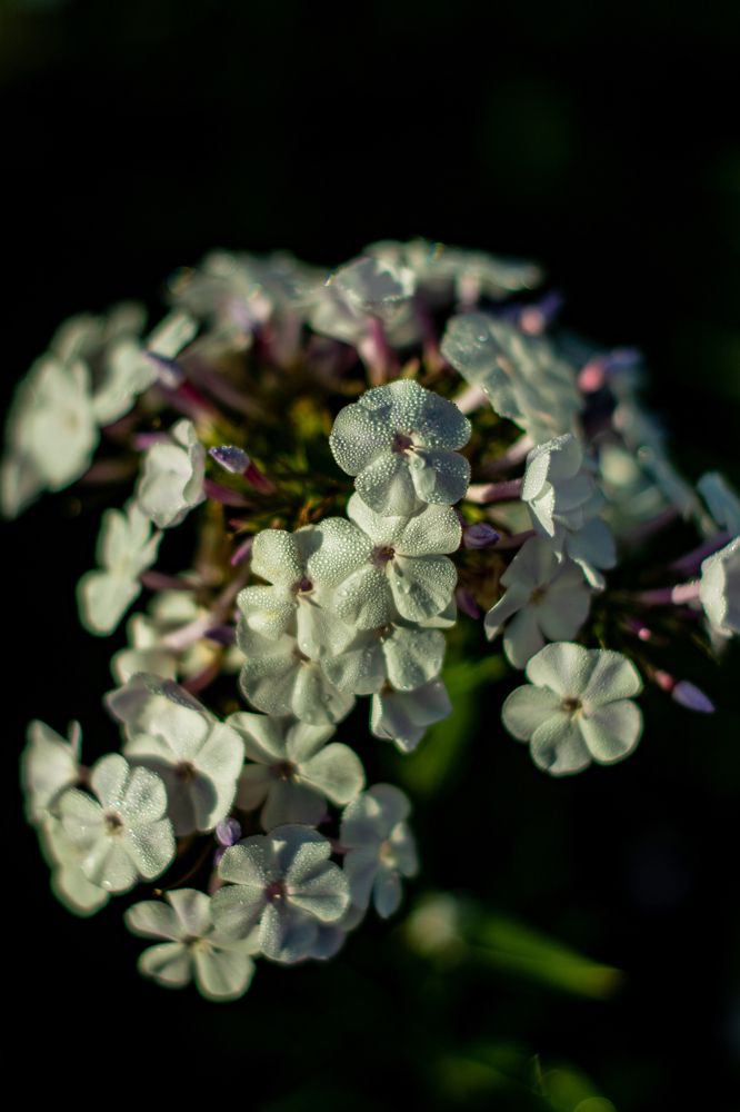 Photograph by Евгений Авдеев