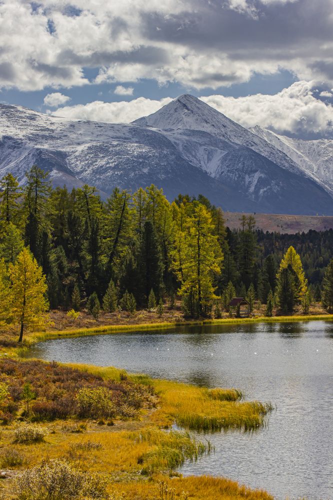 Photograph by Елена Павлова