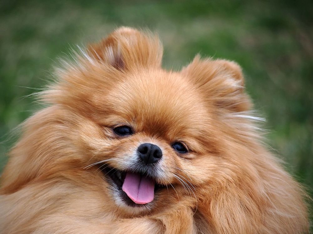 Photograph by Farid Ataei