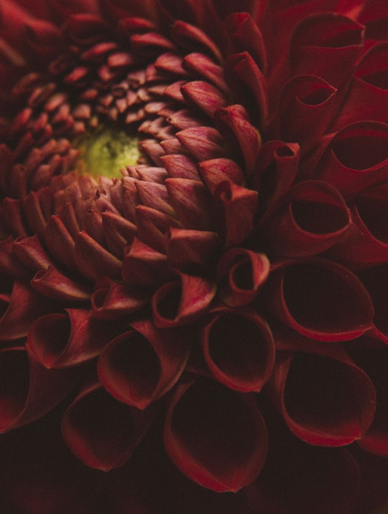 Photograph by Ксения Манухина