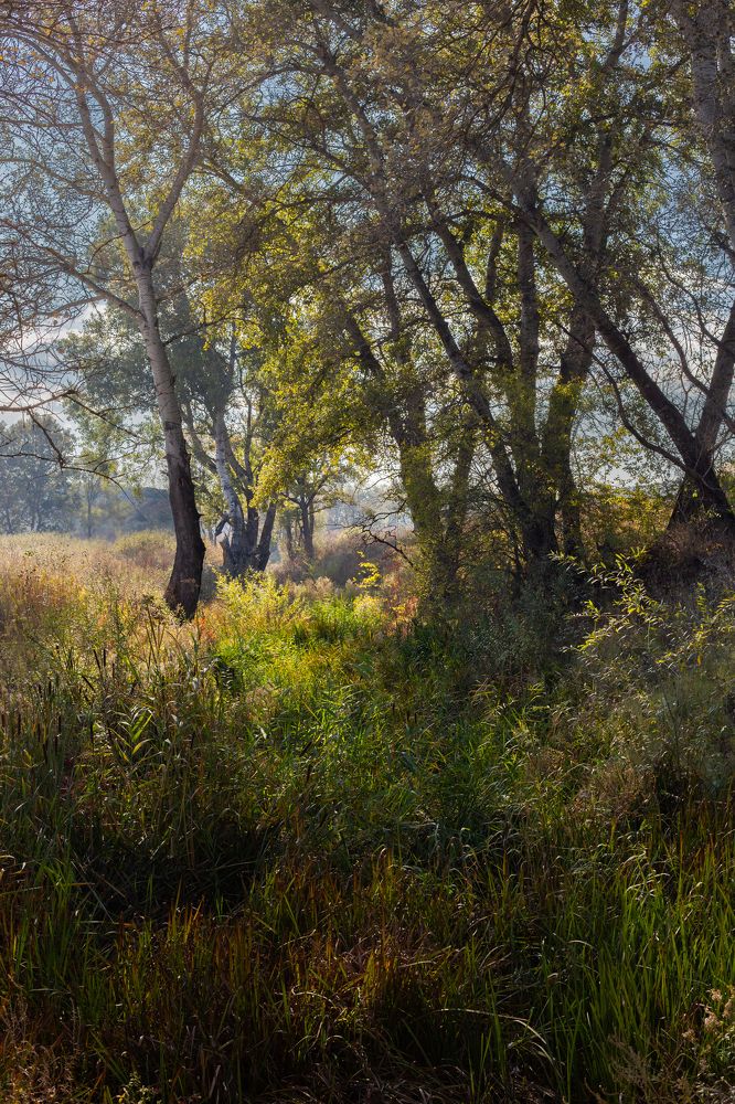 Photograph by Николай Абрамов