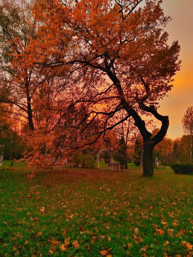 Photograph by Марина Моссий