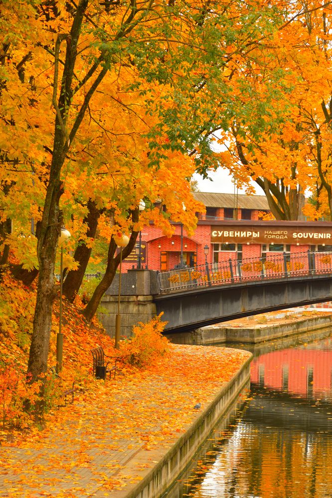 Photograph by Наталья Лапина