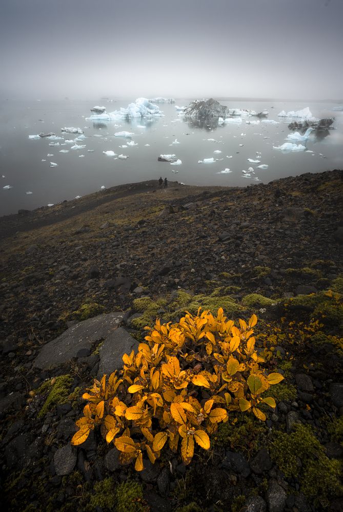 Photograph by Idan Livni