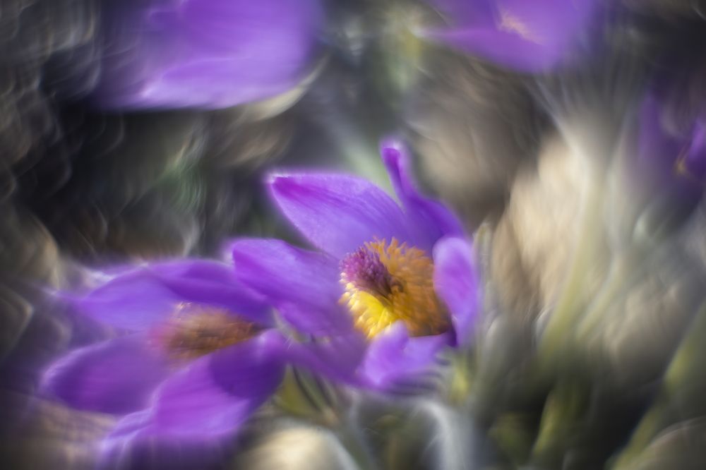 Photograph by Пронин Денис